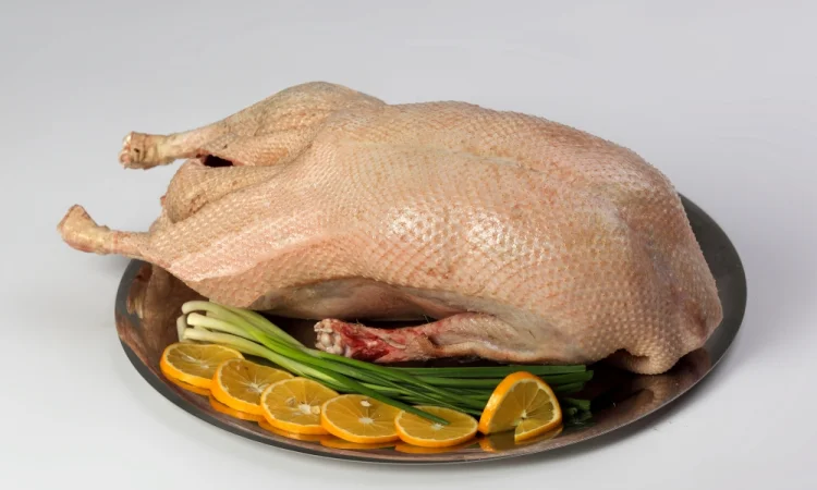 Гусь «Царский» - фото № 1