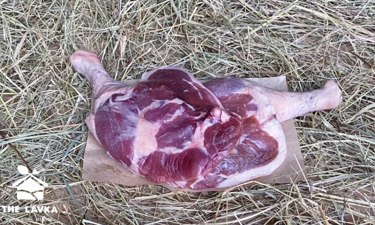 Гусяча ніжка - фото № 1