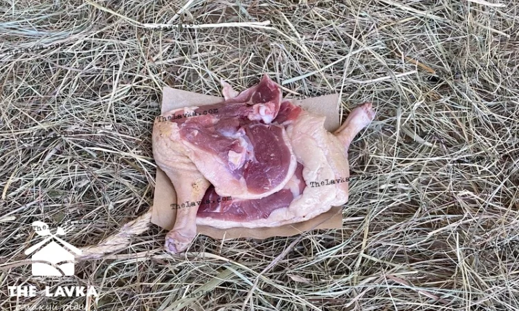 Окіст качиний - фото № 1