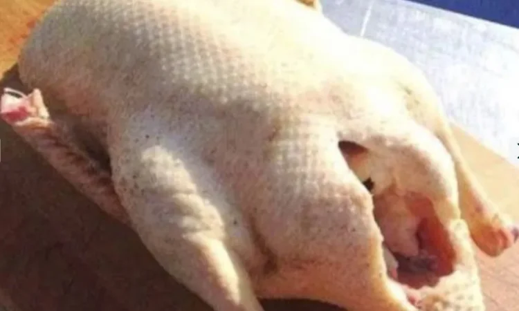 Тушка, мясо гуся порода велика сіра - фото № 1