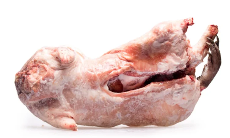 М’ясо нутрії - фото № 1