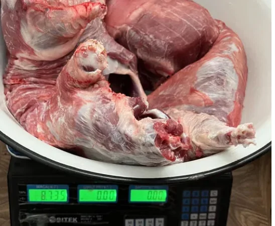 М‘ясо нутрії, м‘ясо нутрии, нутрія, нутрятина - фото № 1