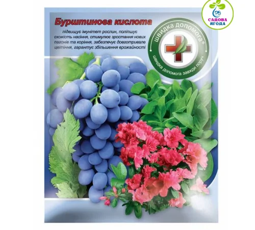 Бурштинова кислота - фото № 1