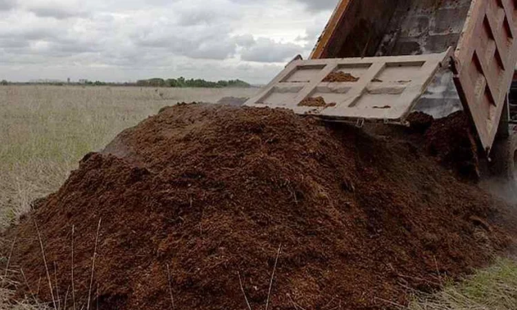Перегной коровий, конский. Навоз. удобрение. - фото № 1