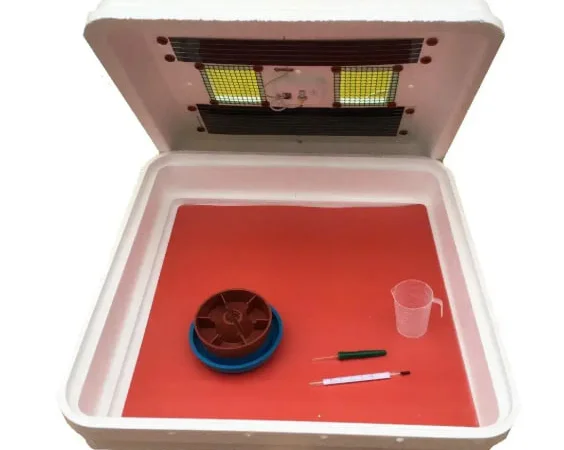 Брудер (ясла) Рябушка для курчат - фото № 1