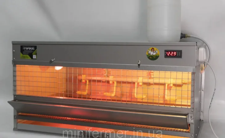 БРУДЕР ДЛЯ КУРЧАТ MINIFERMER СТАНДАРТ - фото № 1