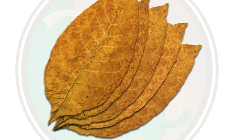 Куплю лист тютюну - фото № 1