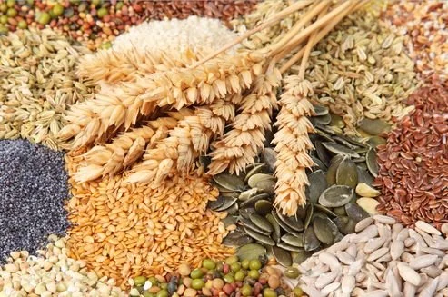 КУПУЄМО ЗЕРНОВІ ТА ОЛІЙНІ КУЛЬТУРИ - фото № 1