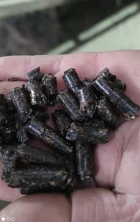 Продам топливные гранулы из подсолнечника - фото № 1