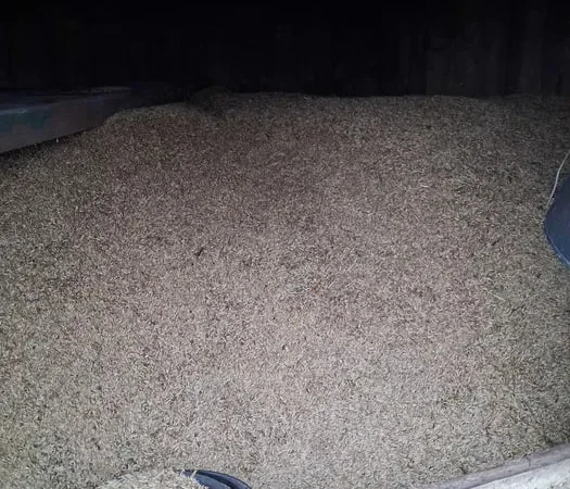 Продам зерно овса з ячменем фуражним - фото № 1