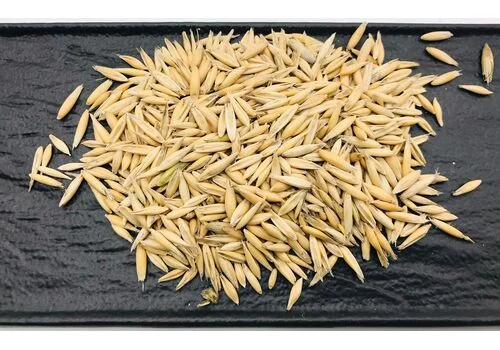 Овес не очищений в шелусі, 1кг - фото № 1