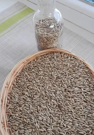 Жито 10 кілограм - фото № 1