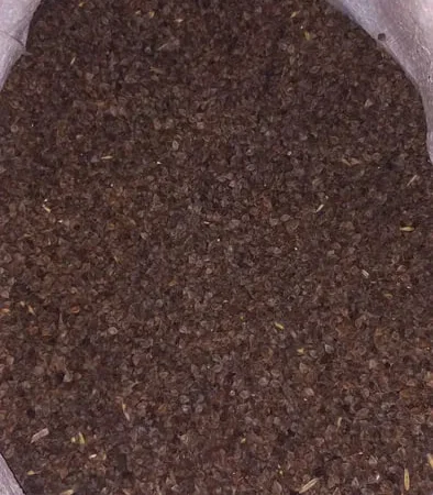 Продажа гречки Арно рання урожаю 2025 року - фото № 1