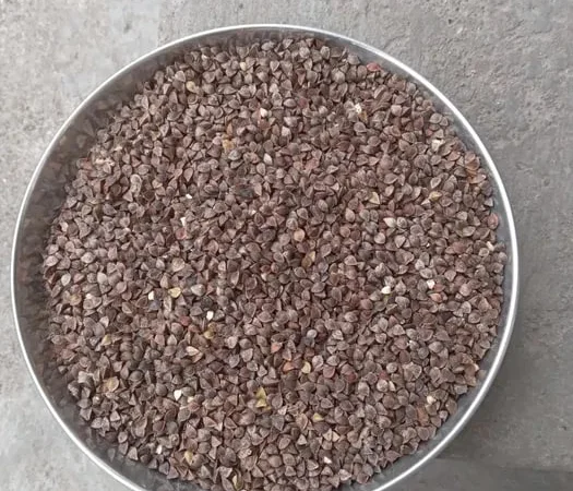 Гречка органічна для насіння та споживання - фото № 1