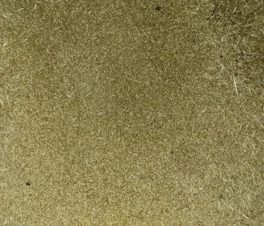 Ячмінь ярий нового врожаю - фото № 1