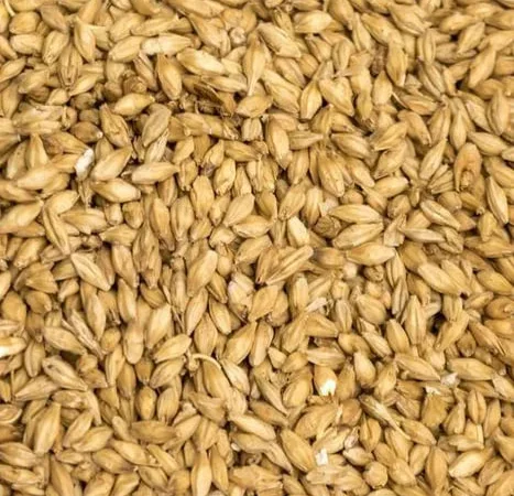 Продажа пивоварного ячменя - фото № 1