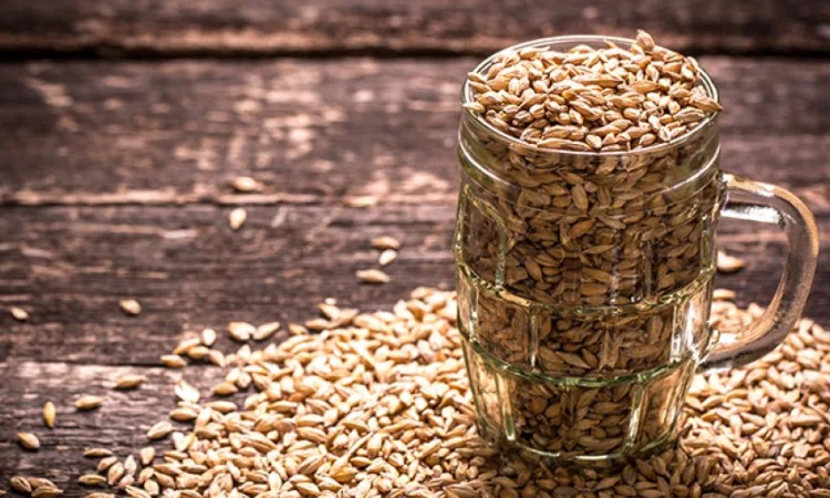 Закупка ячменя пивоварного у сельхозпроизводителей - фото № 1