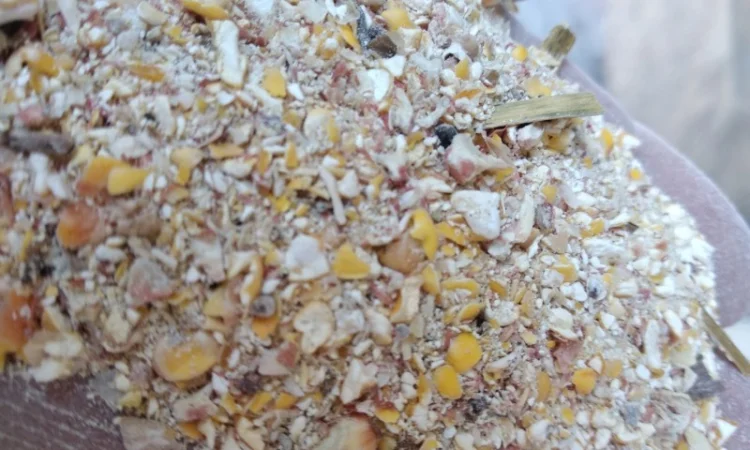 Продажа отходов кукурузы - фото № 1