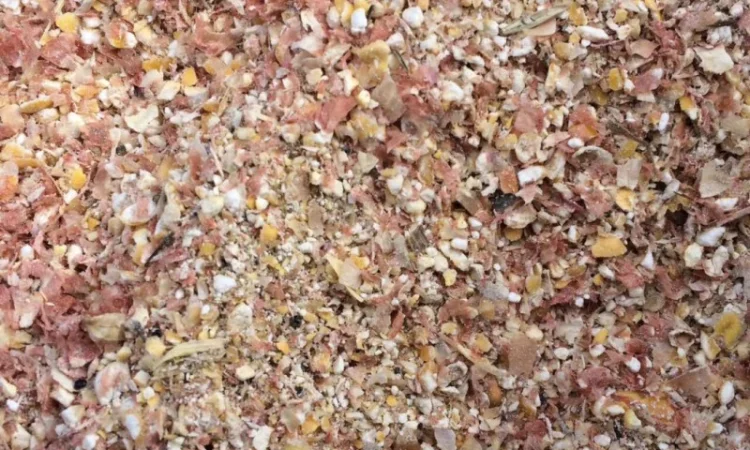 Відходи кукурудзи 1-ї та 2-ї категорій - фото № 1