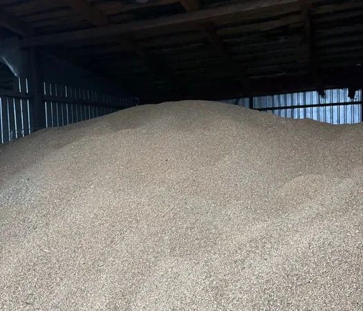 Продам фуражну пшеницю - фото № 1