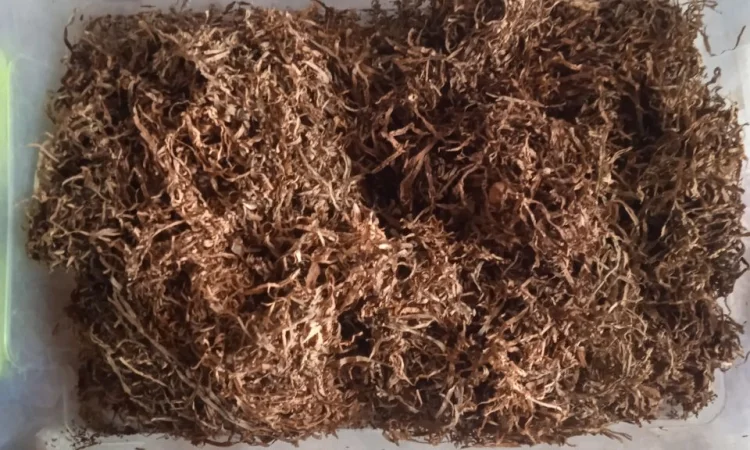 Продам - фото № 1