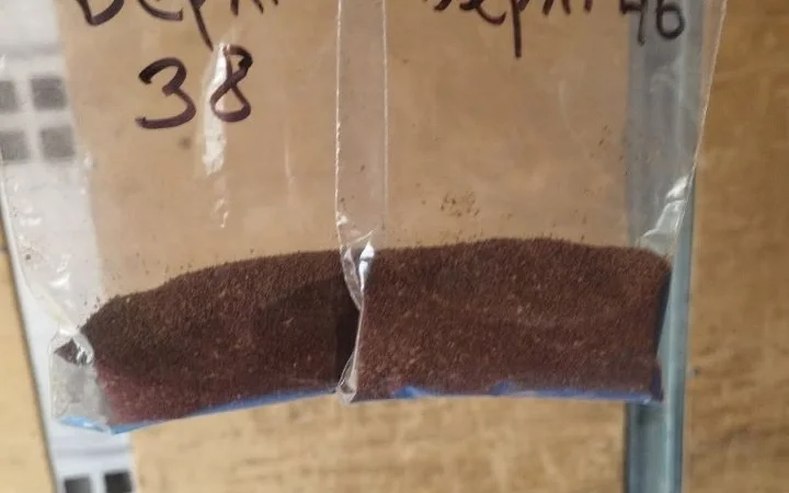 Насіння тютюну - фото № 1