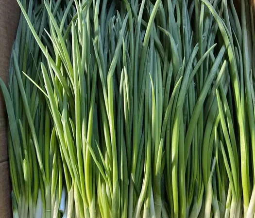 Покупка зеленої цибулі - фото № 1