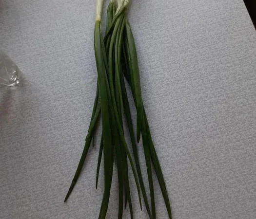 Свіжий зелений лук на продаж - фото № 1