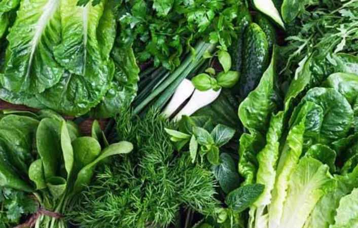 Свежая зелень: укроп, петрушка, шпинат и салаты - фото № 1