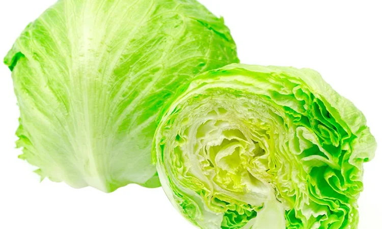 Салат Айсберг 100 г, свіжий та натуральний - фото № 1