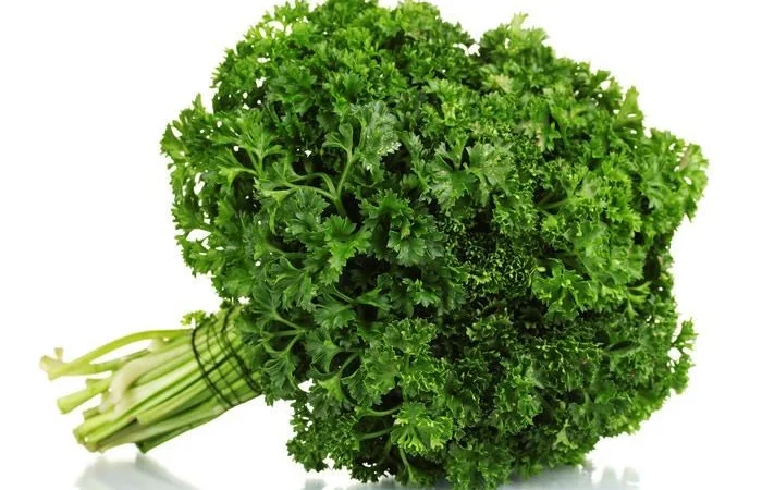 Кучерява петрушка 100 г на продаж - фото № 1