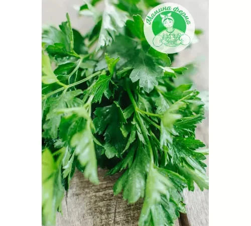 Свіжа петрушка на продаж - фото № 1