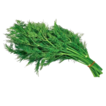 Свіжий кріп на продаж - фото № 1