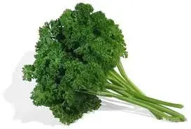 Свіжа петрушка кучерява на продаж - фото № 1