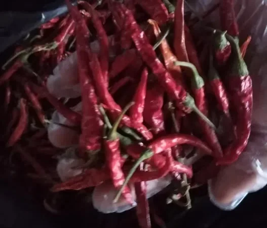 Сушений перець чилі гострий 2025 року - фото № 1