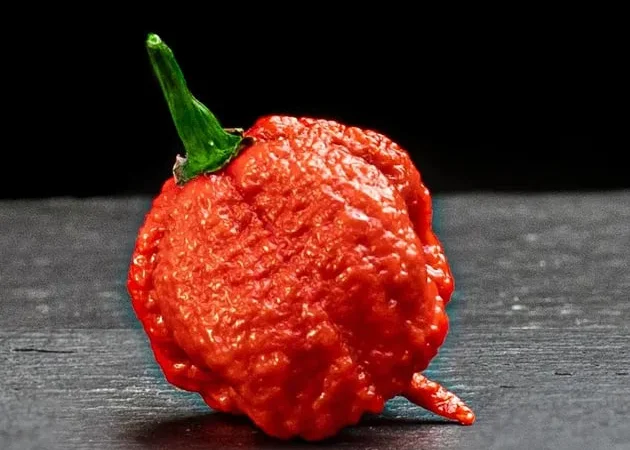Гострий перець Carolina Reaper на продаж - фото № 1