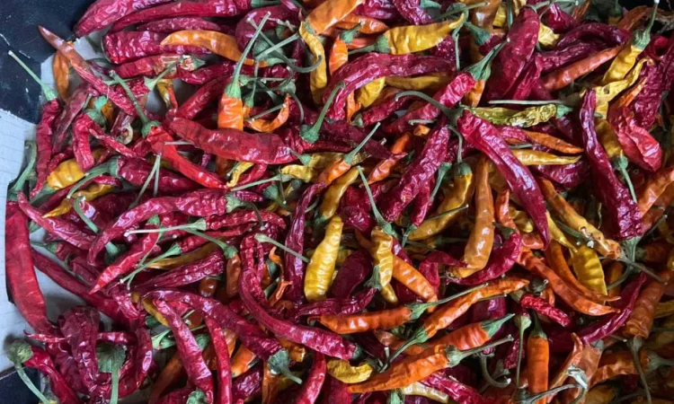 Перець гіркий, сухий, гострий, 100 грам - фото № 1