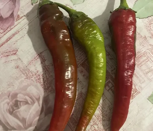 Пропоную свіжий гострий перець - фото № 1