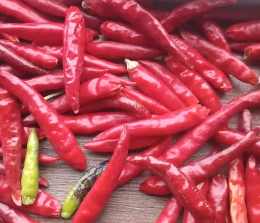 Продам гострий сушений перець 100 грам - фото № 1