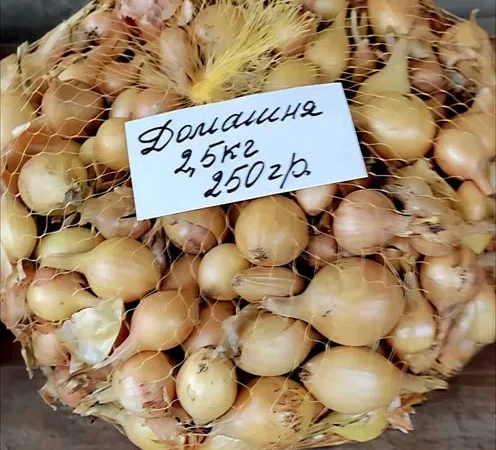 Продажа озимой цибулі Домашня – 2,5 кг - фото № 1