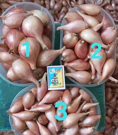 Лук кущевка, цибуля сімейка кущівка-шалот на продажу - фото № 1