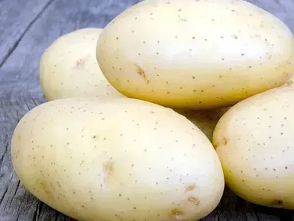 Картофель Гранада, кг - фото № 1