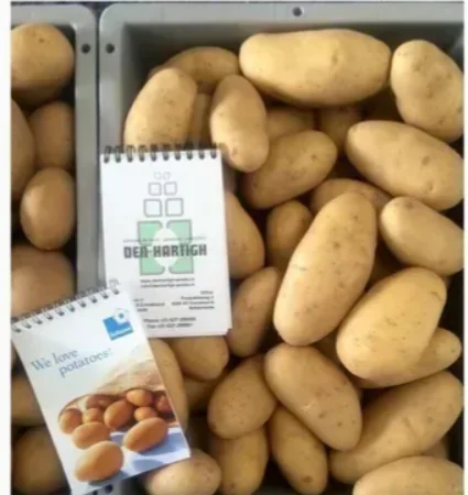 Насіннєва картопля Гранада 2,5 кг для продажу - фото № 1