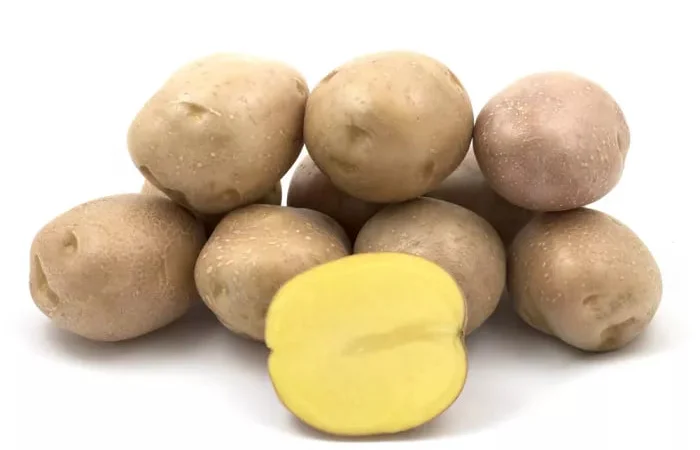 Насіннєва картопля Беллароза на продаж - фото № 1