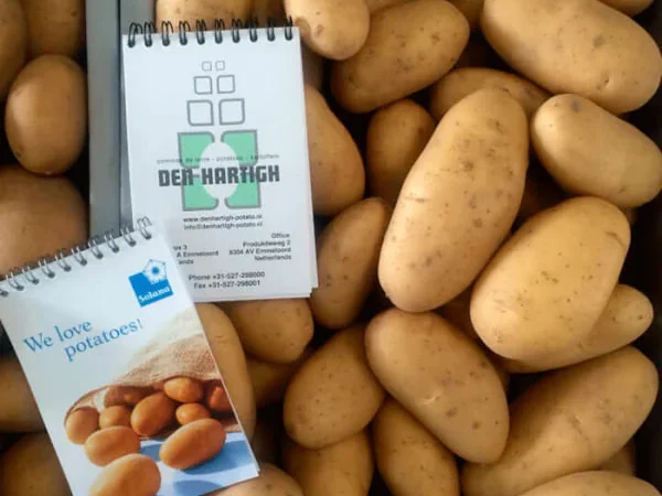 Продаж насіннєвої картоплі Гранада - фото № 1