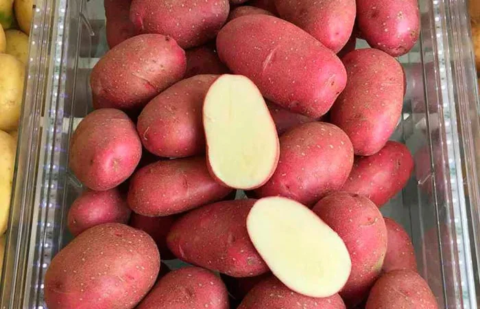 Картопля сортів Торнадо та Мелоді на продаж - фото № 1