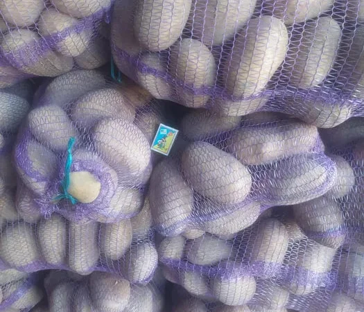 Продаж насіннєвої картоплі сортів Арізона, Мелоді, Бела Роса - фото № 1