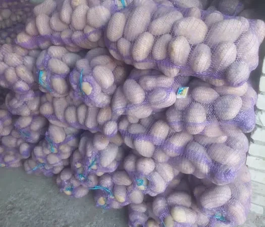 Продаж насіннєвої картоплі сортів Арізона, Мелоді, Бела Роса - фото № 2