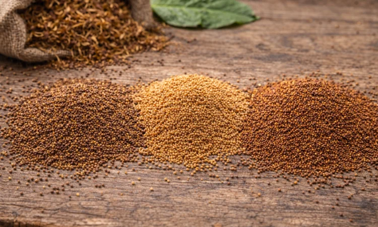 Test1 - фото № 1