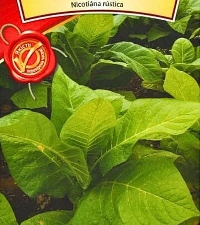 Насіння махорки 0,1 г Агровест - фото № 1